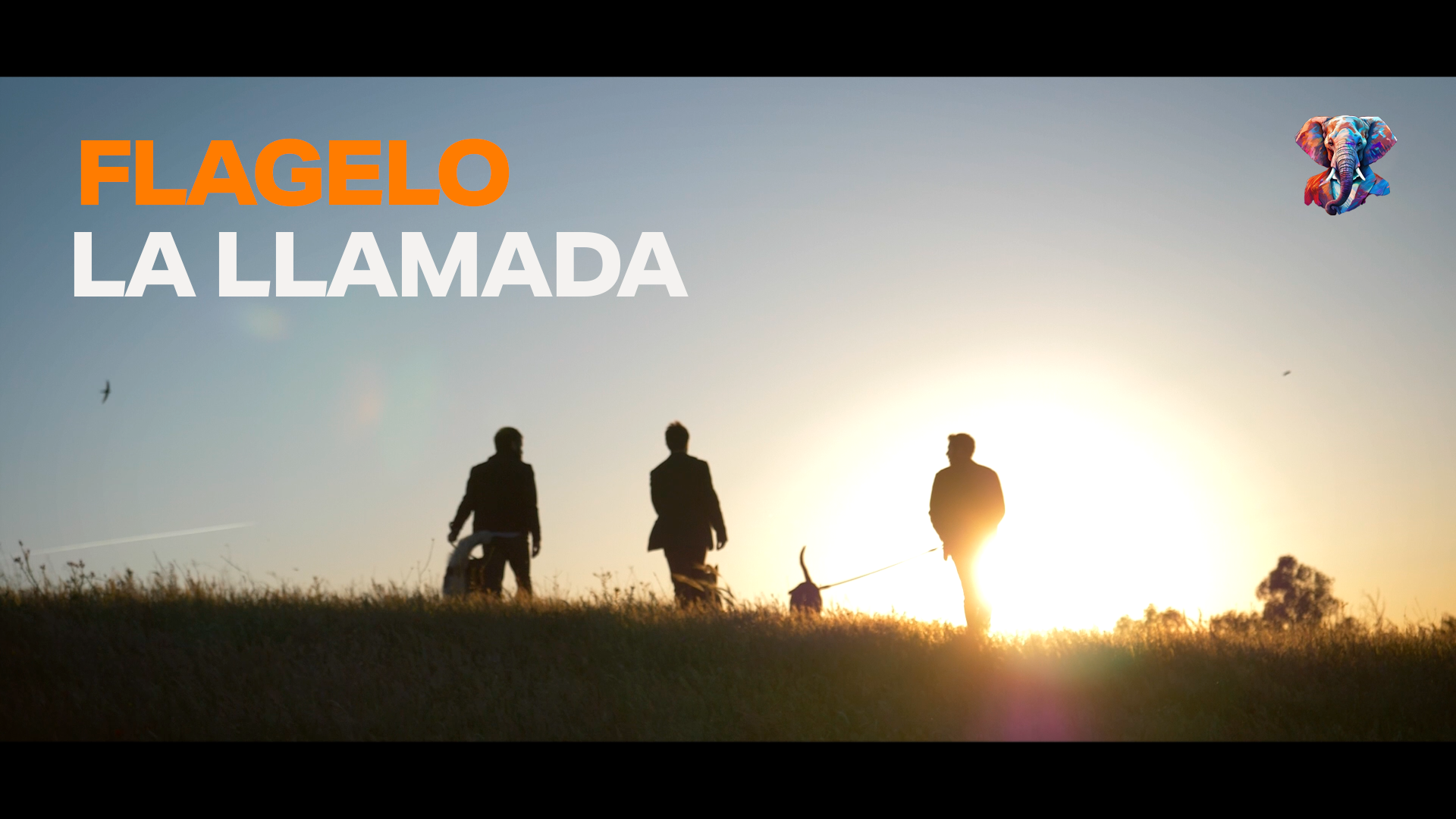 La llamada – Flagelo