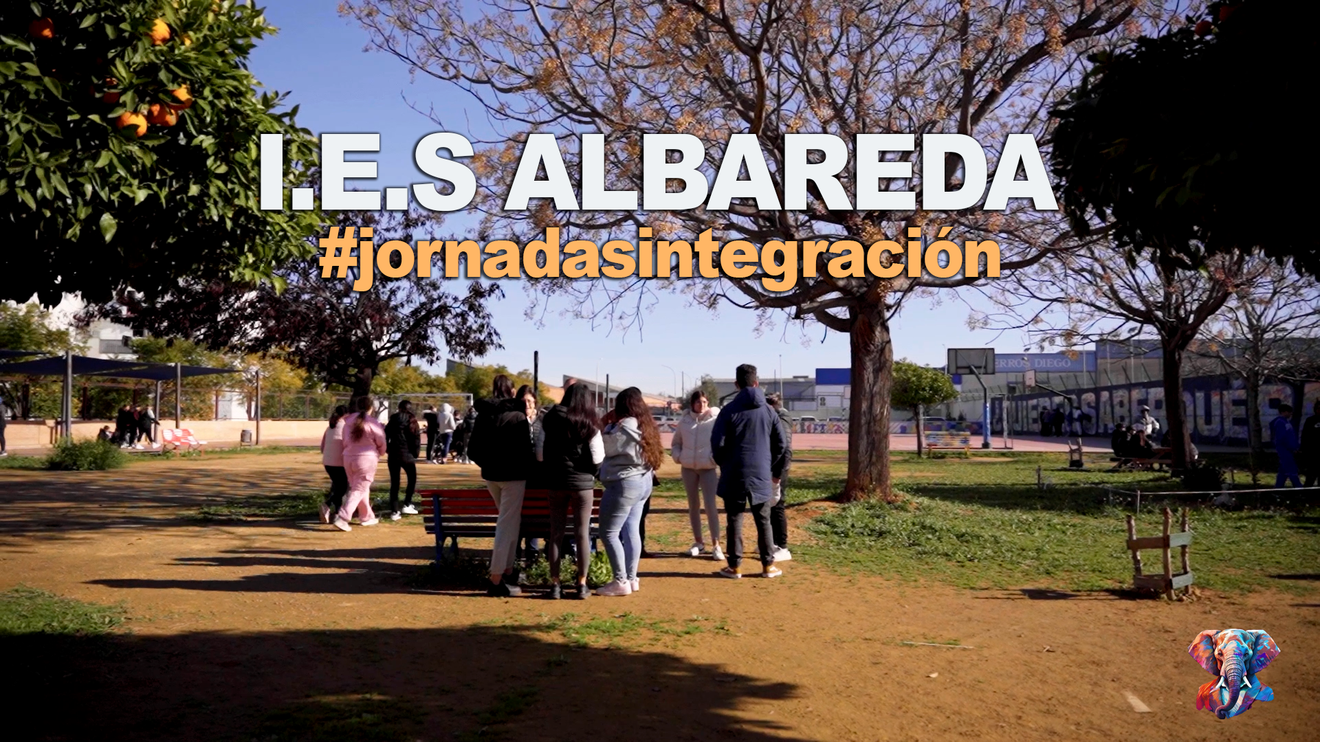 IES ALBAREDA Reportaje documental